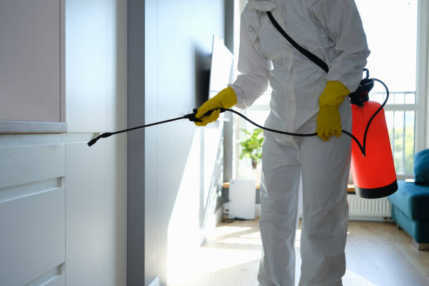 Best Preventive Mold Services in Georgiana, AL