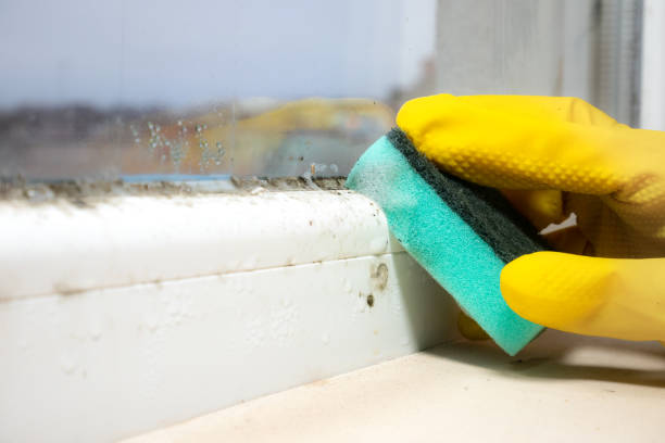 Best Health and Safety Mold Remediation in Georgiana, AL
